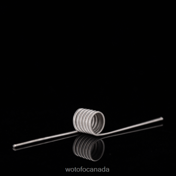 Wotofo ID PREBUILT COIL RT4226347 DUAL CORE FUSED CLAPTON 0.65OHM 5MM 5PCS Wotofo e-cigarette
